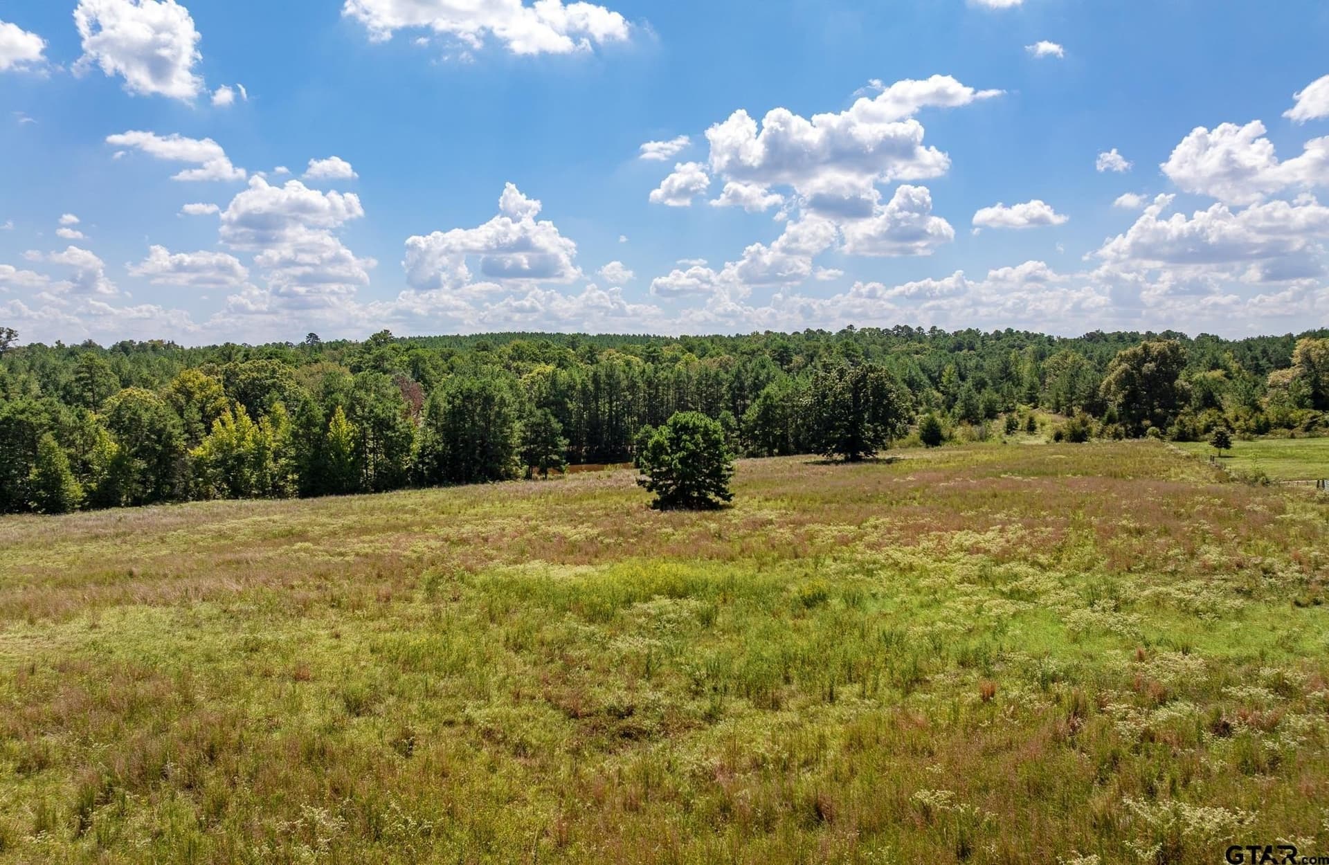 41.77 acres in Smith County - photo 46