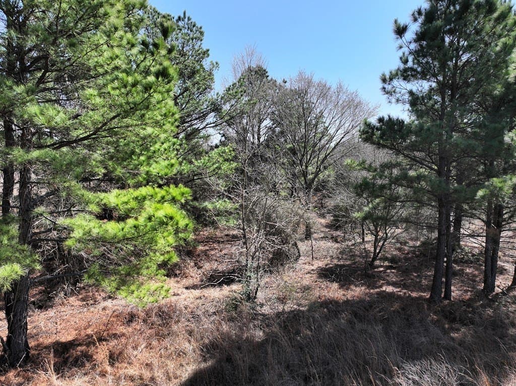 25.26 acres in Van Zandt County - photo 14