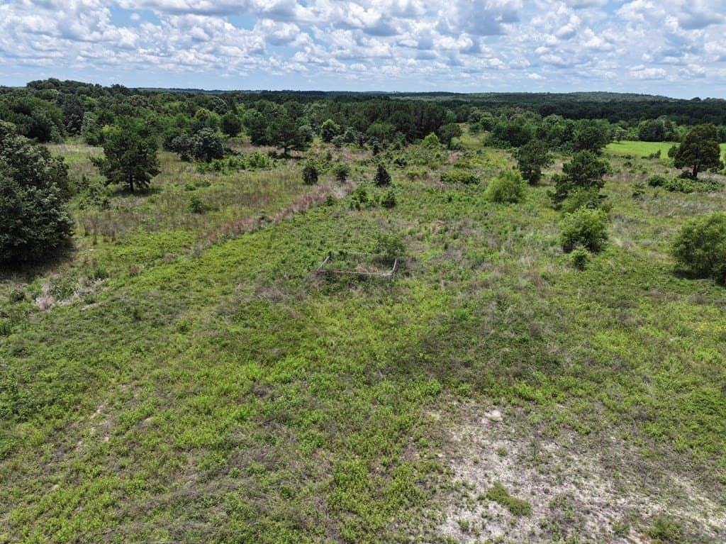 25.26 acres in Van Zandt County - photo 9