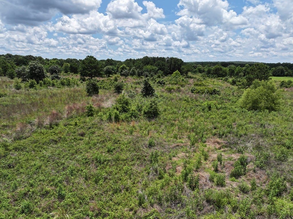 25.26 acres in Van Zandt County - photo 6