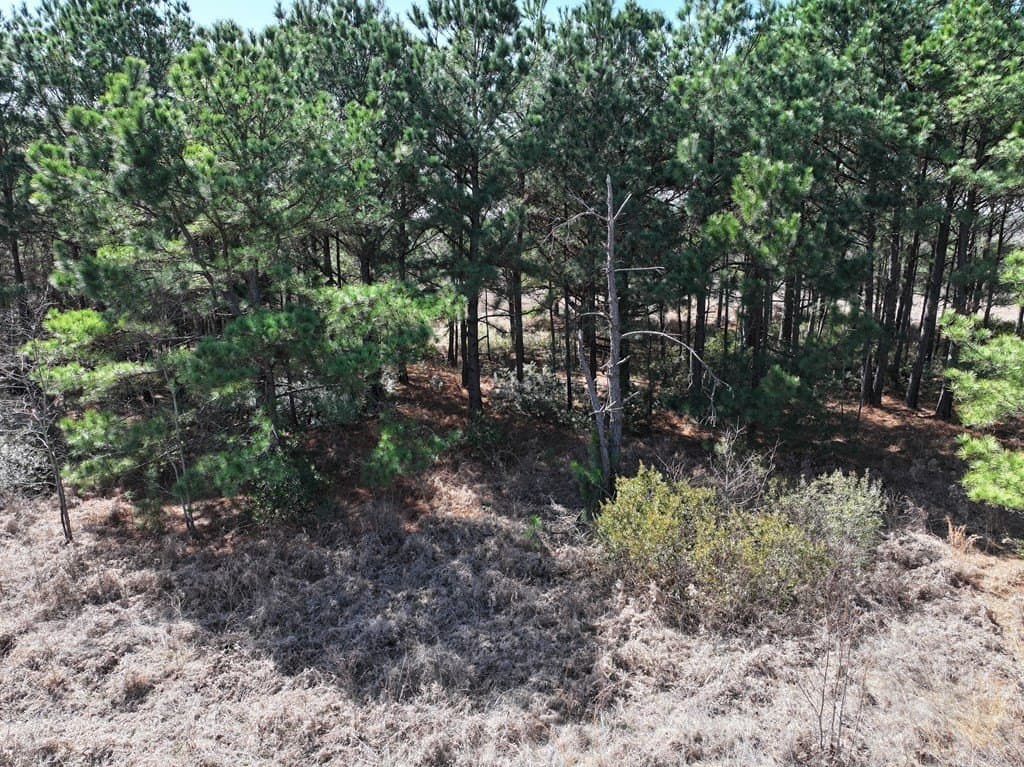 25.26 acres in Van Zandt County - photo 18