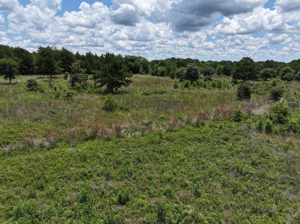 25.26 acres in Van Zandt County gallery image 2