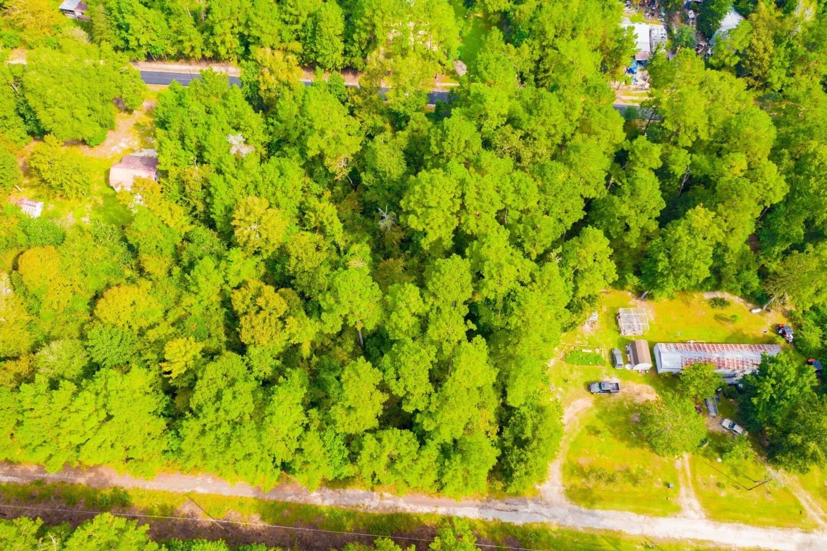 0.2 acres in Tyler County - photo 12