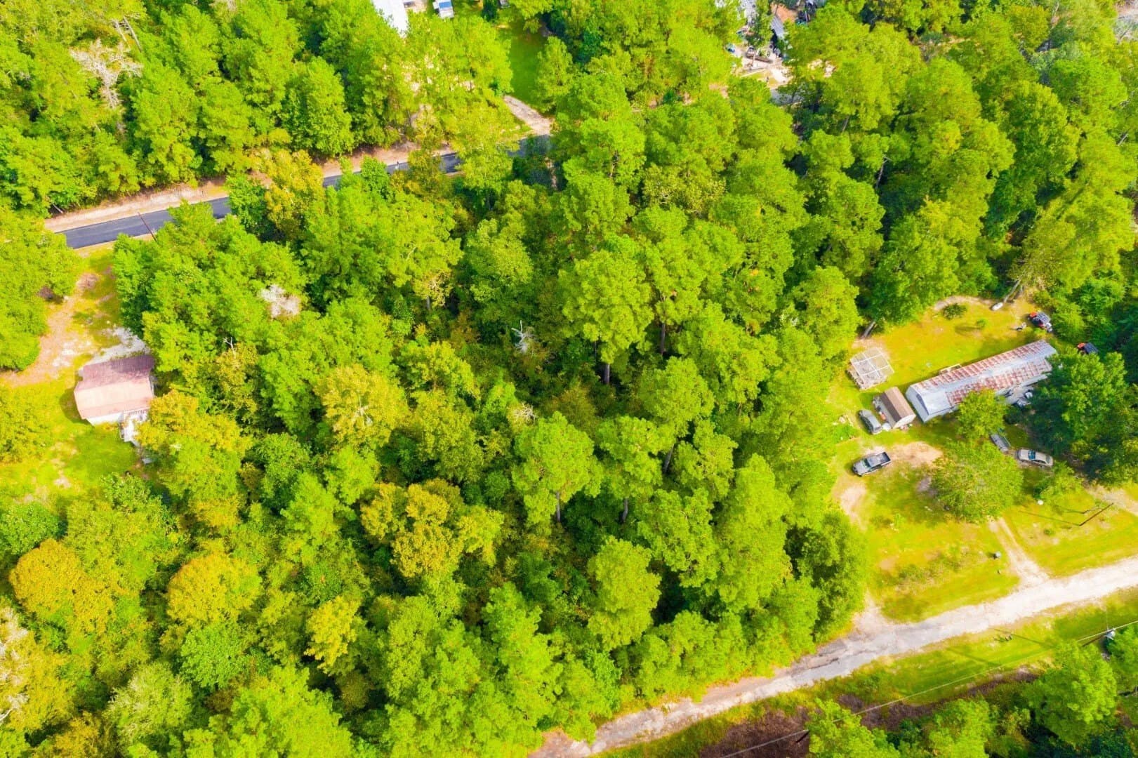 0.2 acres in Tyler County - photo 11