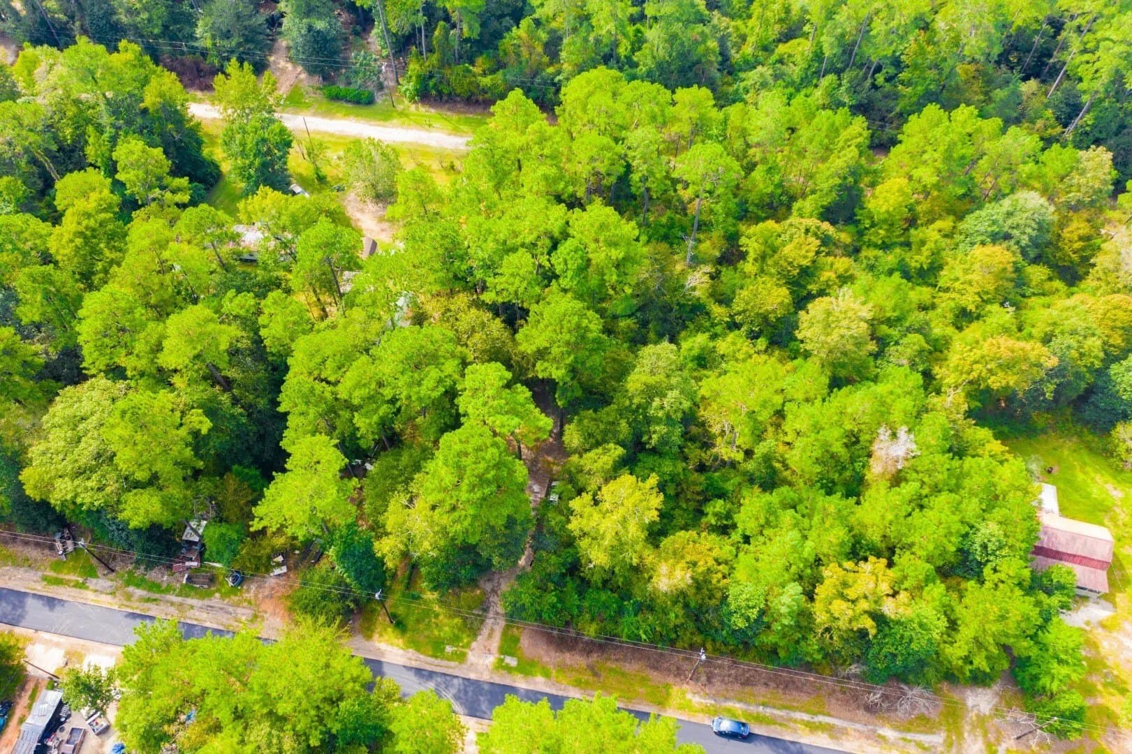 0.2 acres in Tyler County - photo 17