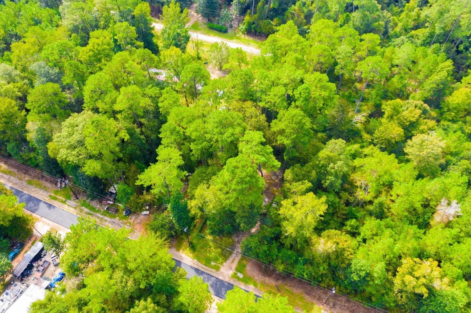 0.2 acres in Tyler County - photo 21