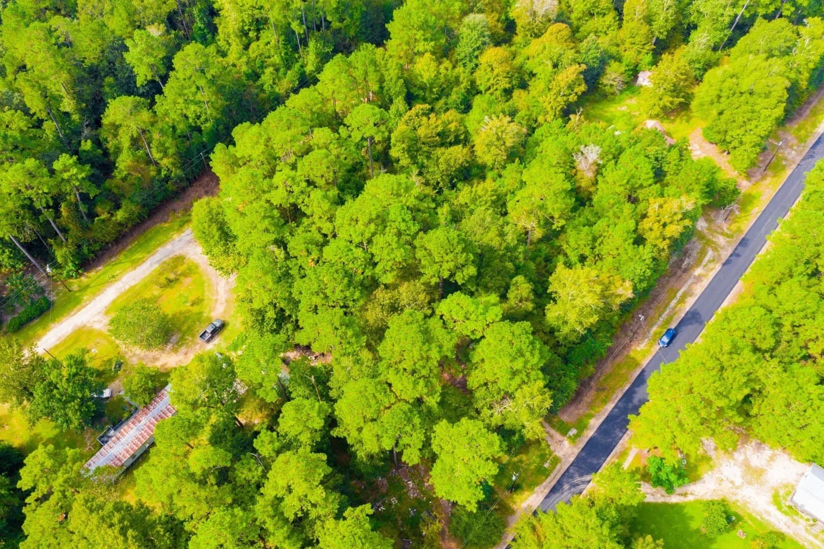 0.2 acres in Tyler County - photo 15