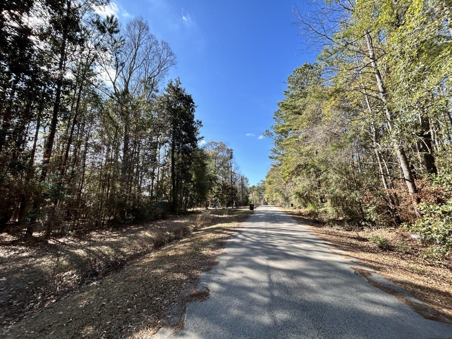 0.2 acres in Tyler County - photo 6