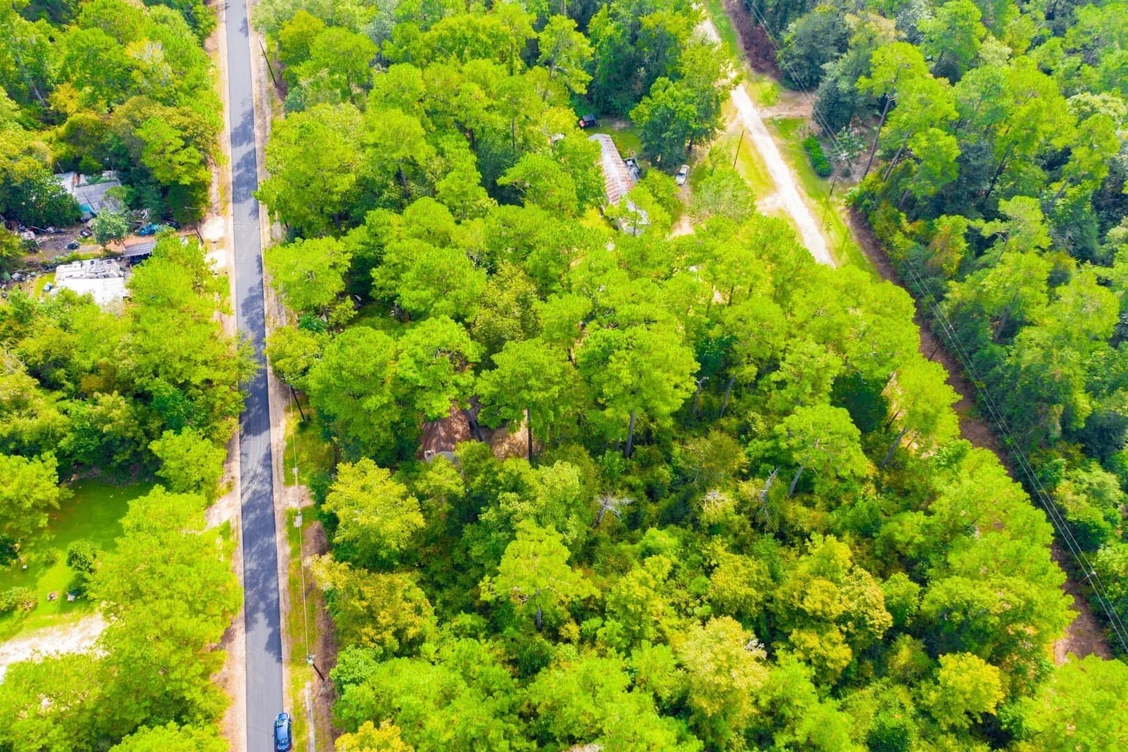 0.2 acres in Tyler County - photo 18
