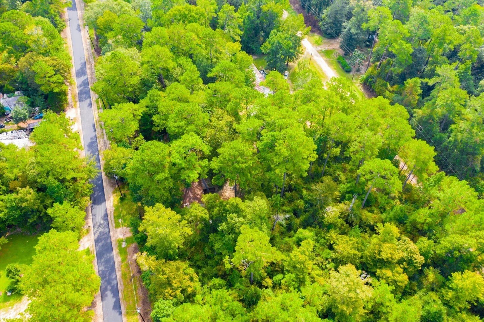 0.2 acres in Tyler County - photo 19