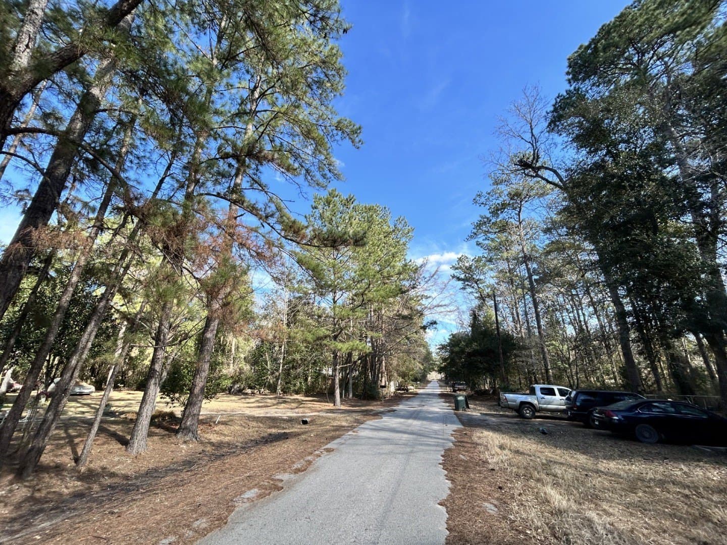 0.2 acres in Tyler County - photo 3