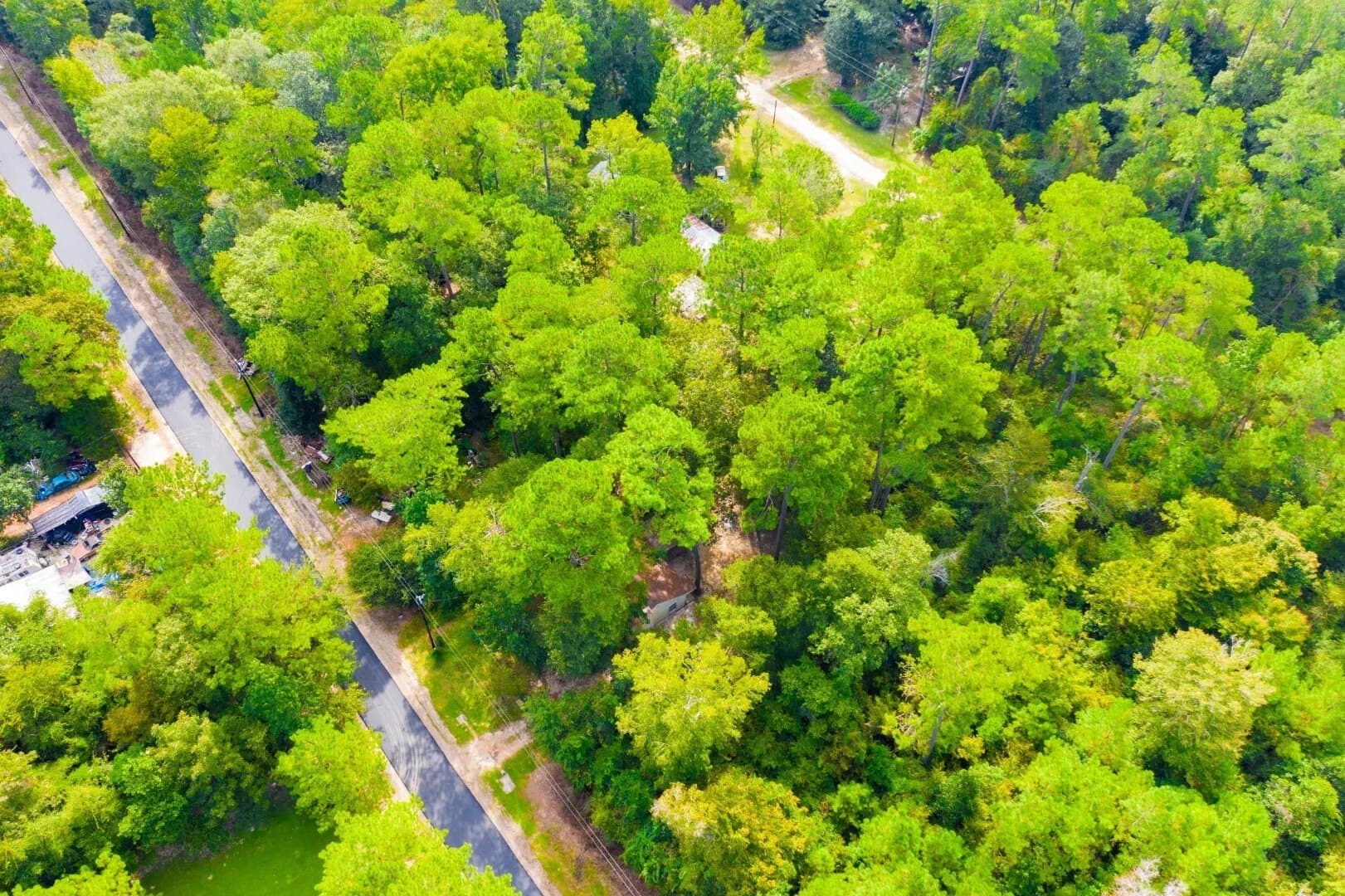 0.2 acres in Tyler County - photo 20