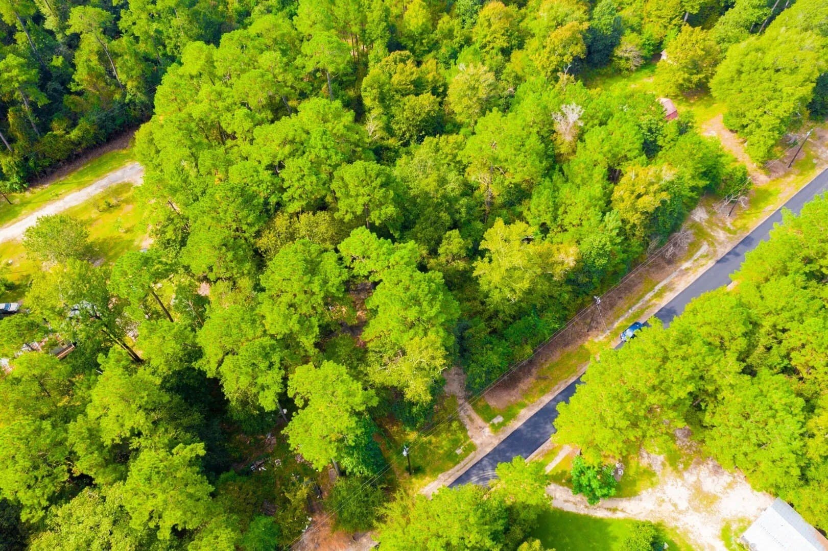 0.2 acres in Tyler County - photo 23