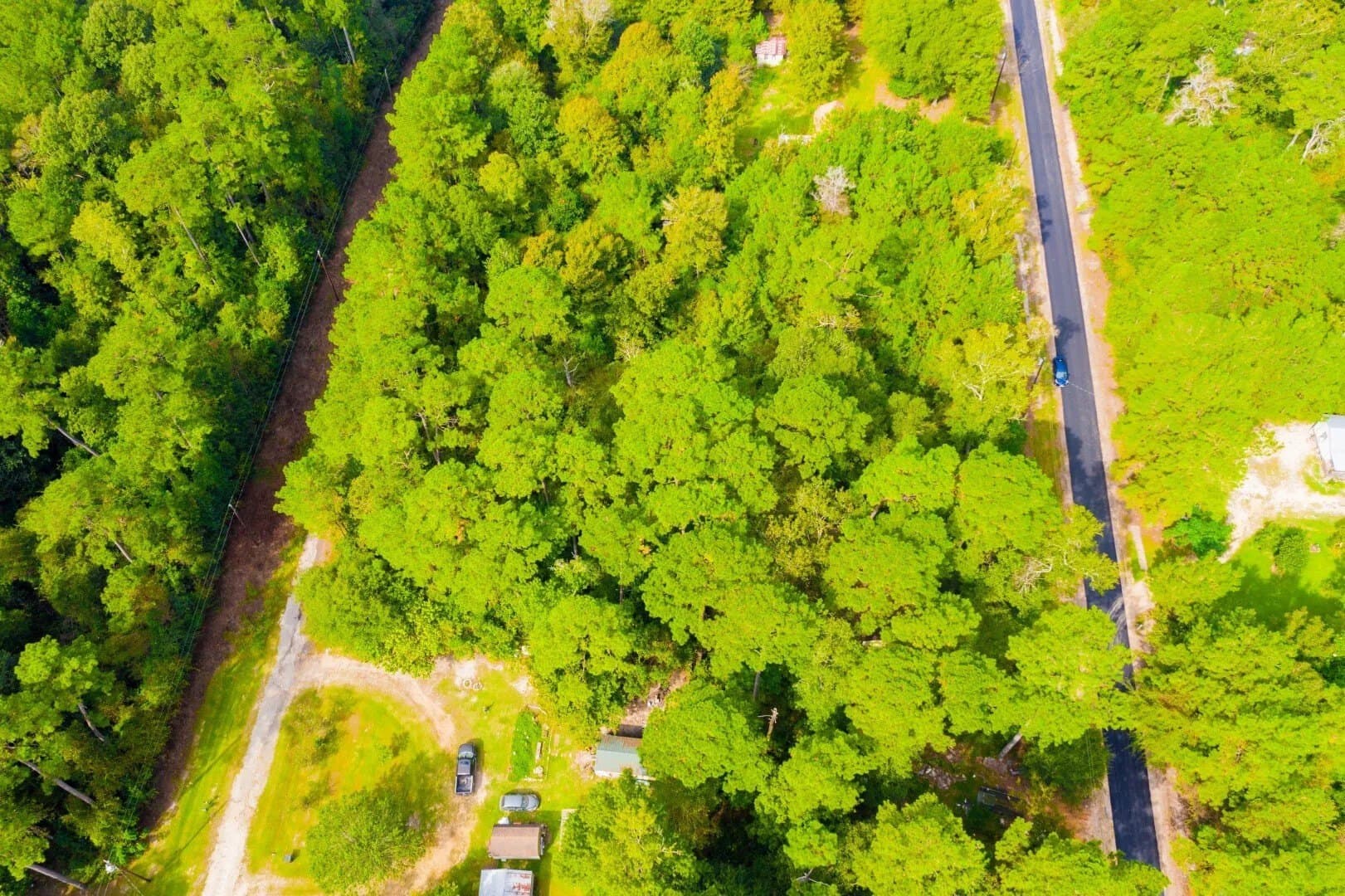 0.2 acres in Tyler County - photo 14