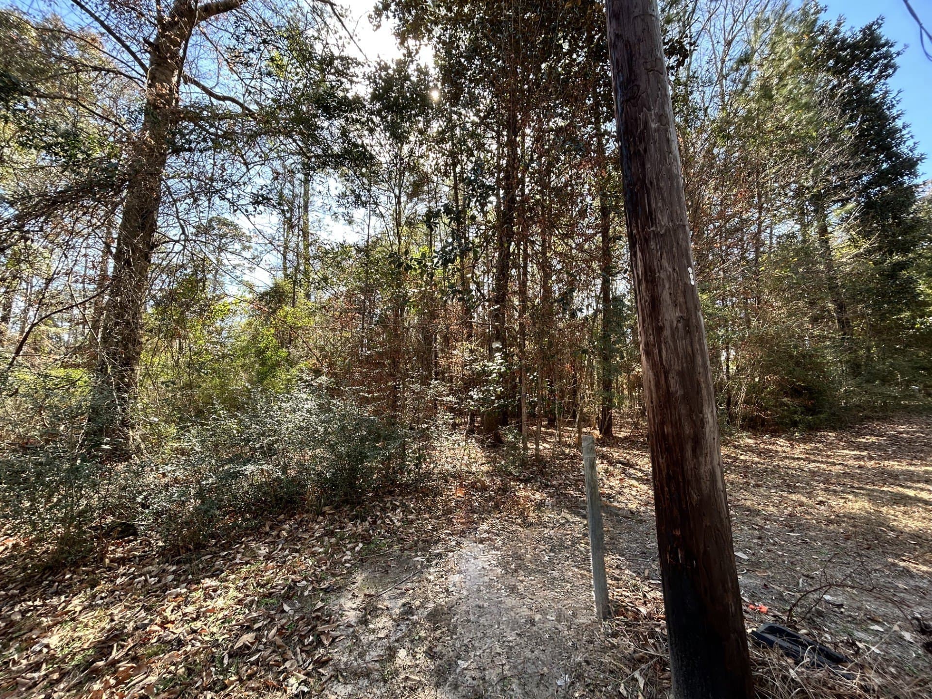 0.2 acres in Tyler County - photo 8