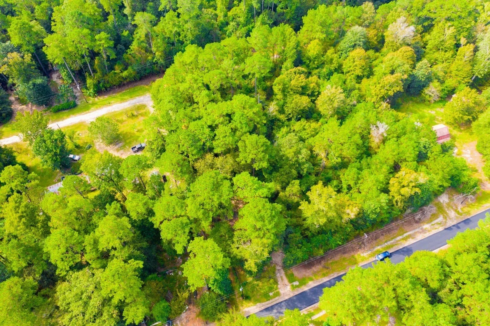 0.2 acres in Tyler County - photo 16