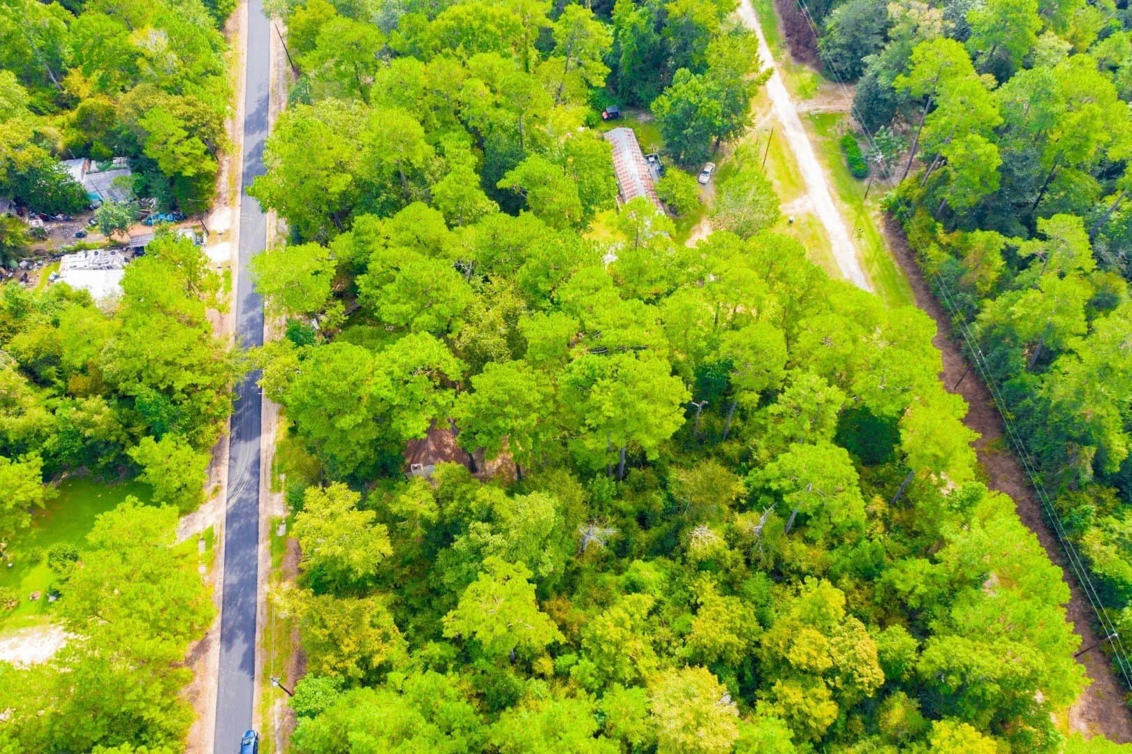 0.2 acres in Tyler County - photo 10