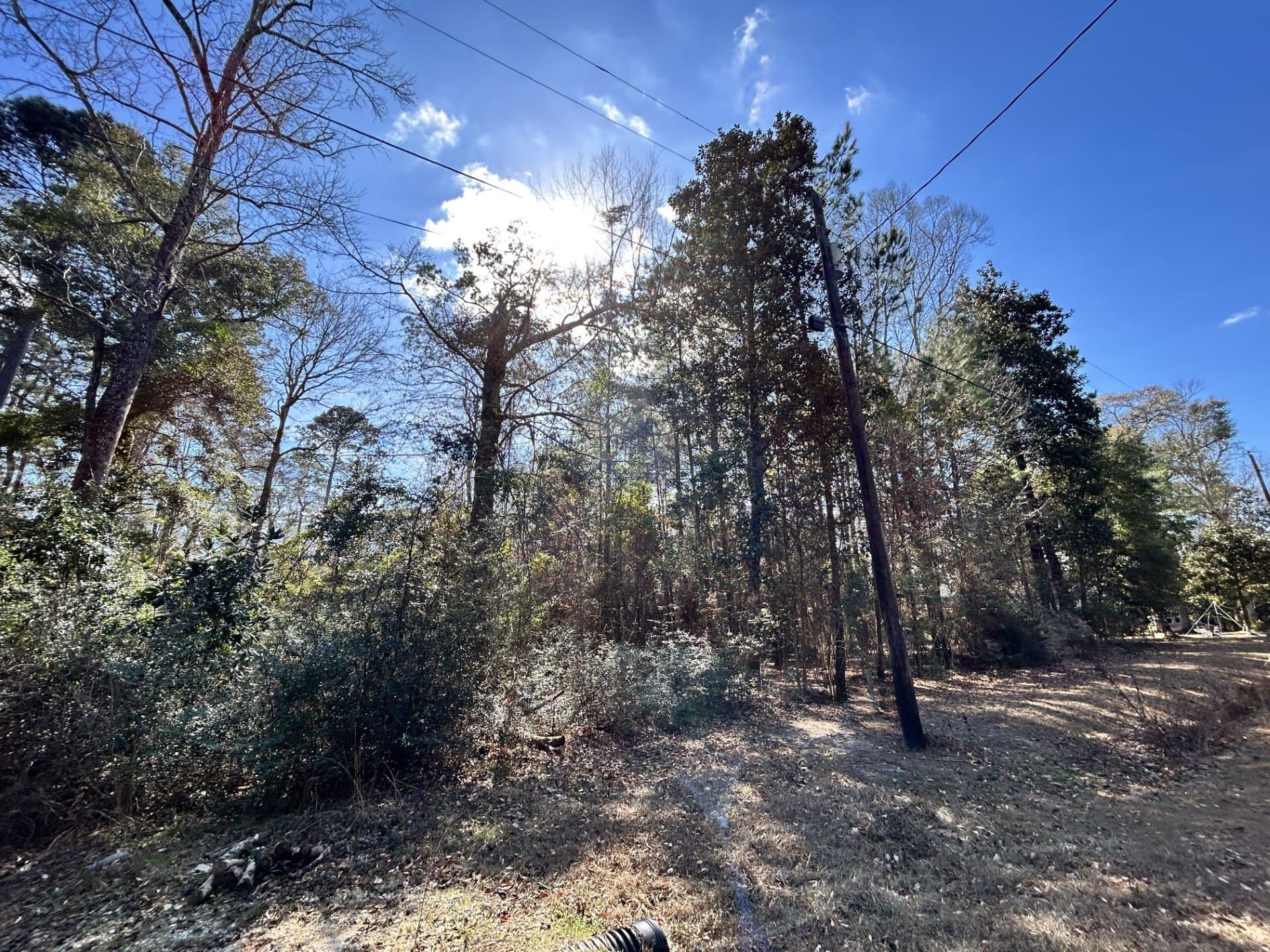 0.2 acres in Tyler County - photo 5