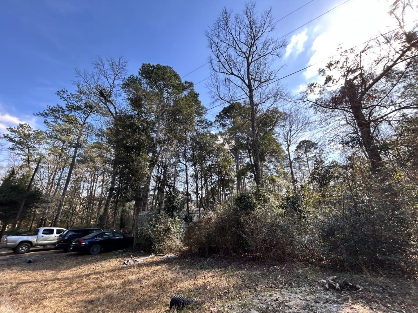0.2 acres in Tyler County - photo 4
