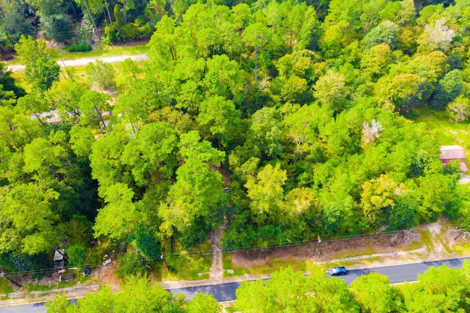 0.2 acres in Tyler County - photo 22