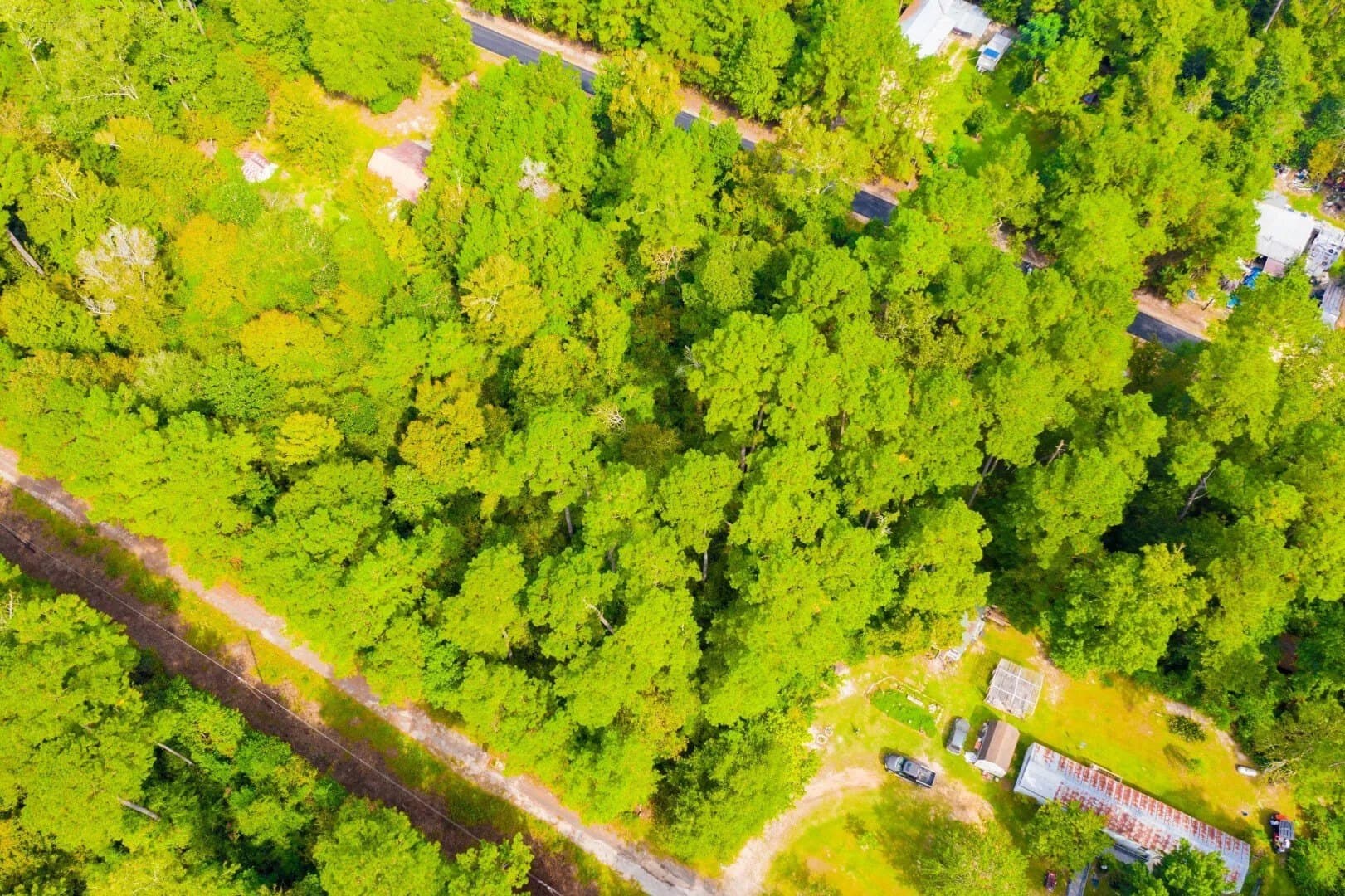 0.2 acres in Tyler County - photo 13