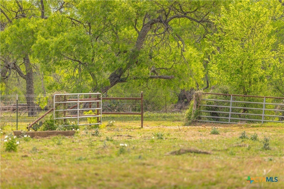 445.99 acres in Gonzales County gallery image 2