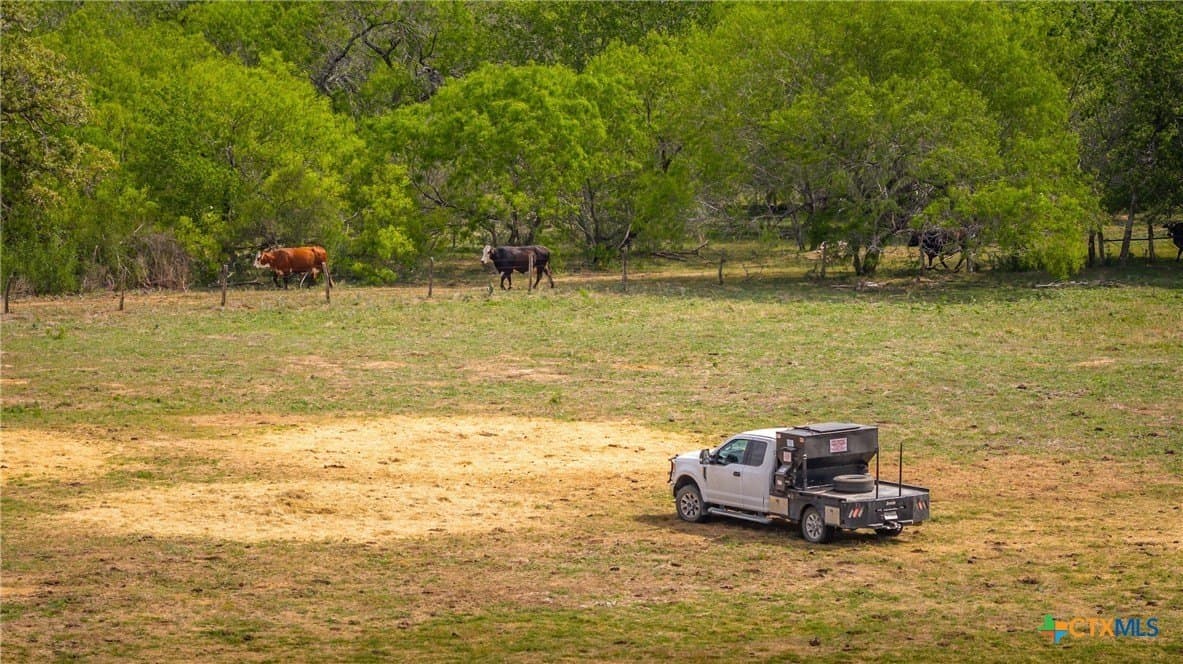445.99 acres in Gonzales County - photo 15