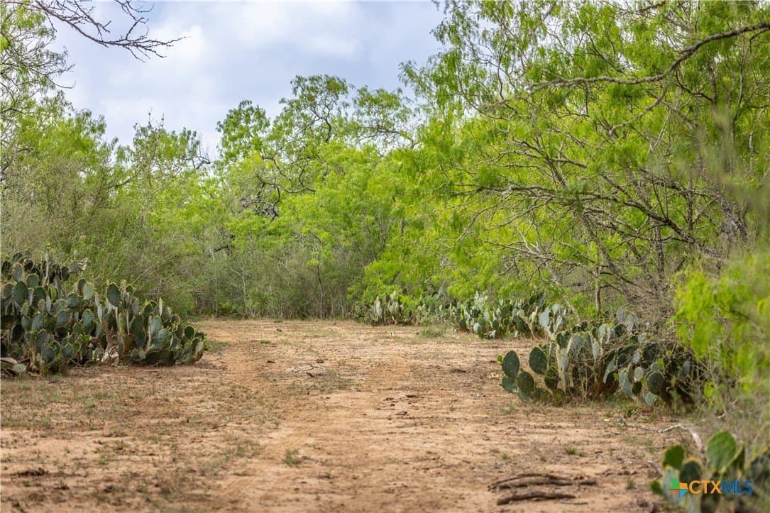 445.99 acres in Gonzales County - photo 20
