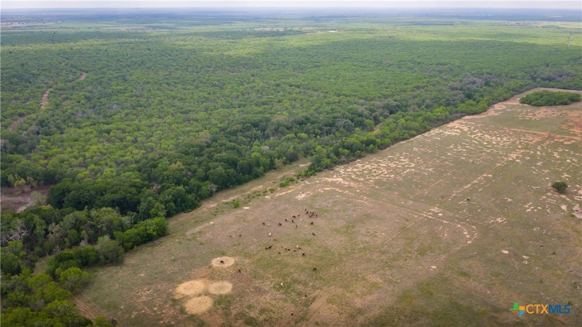 445.99 acres in Gonzales County - photo 11