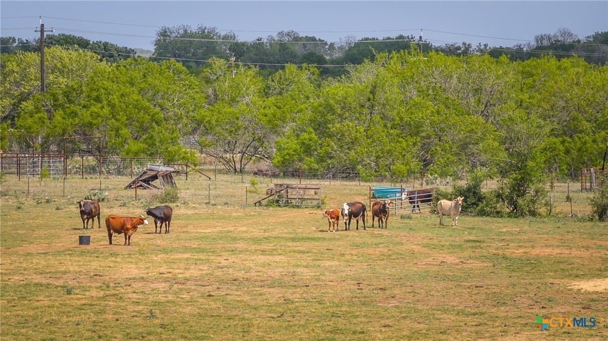 445.99 acres in Gonzales County - photo 14