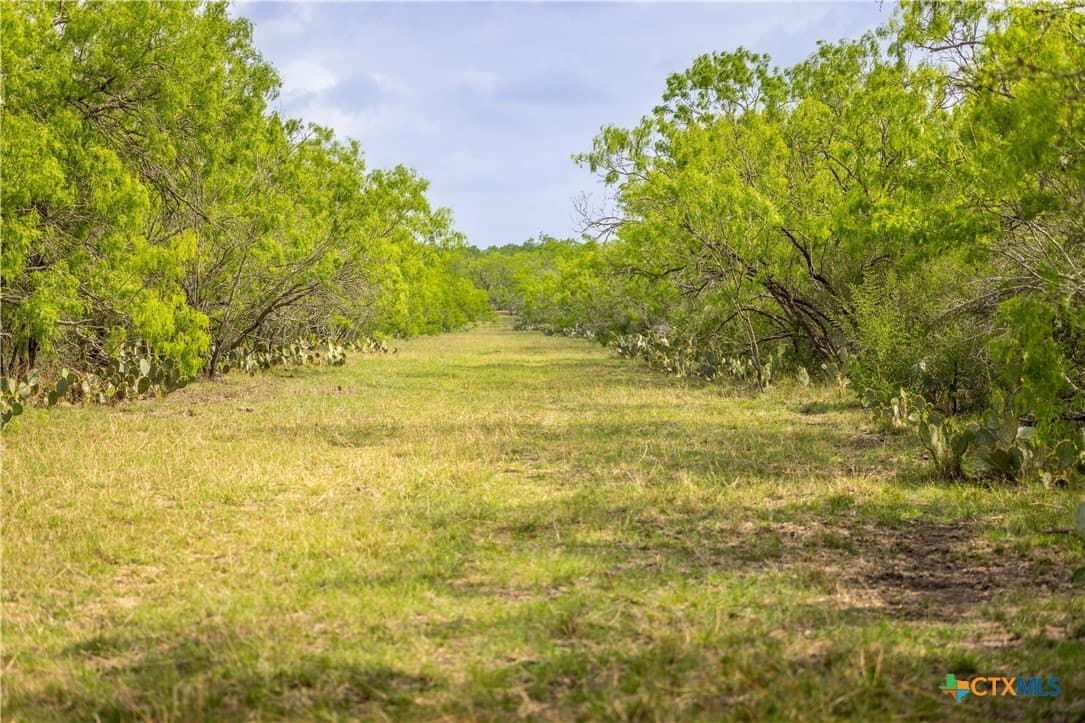 445.99 acres in Gonzales County - photo 17