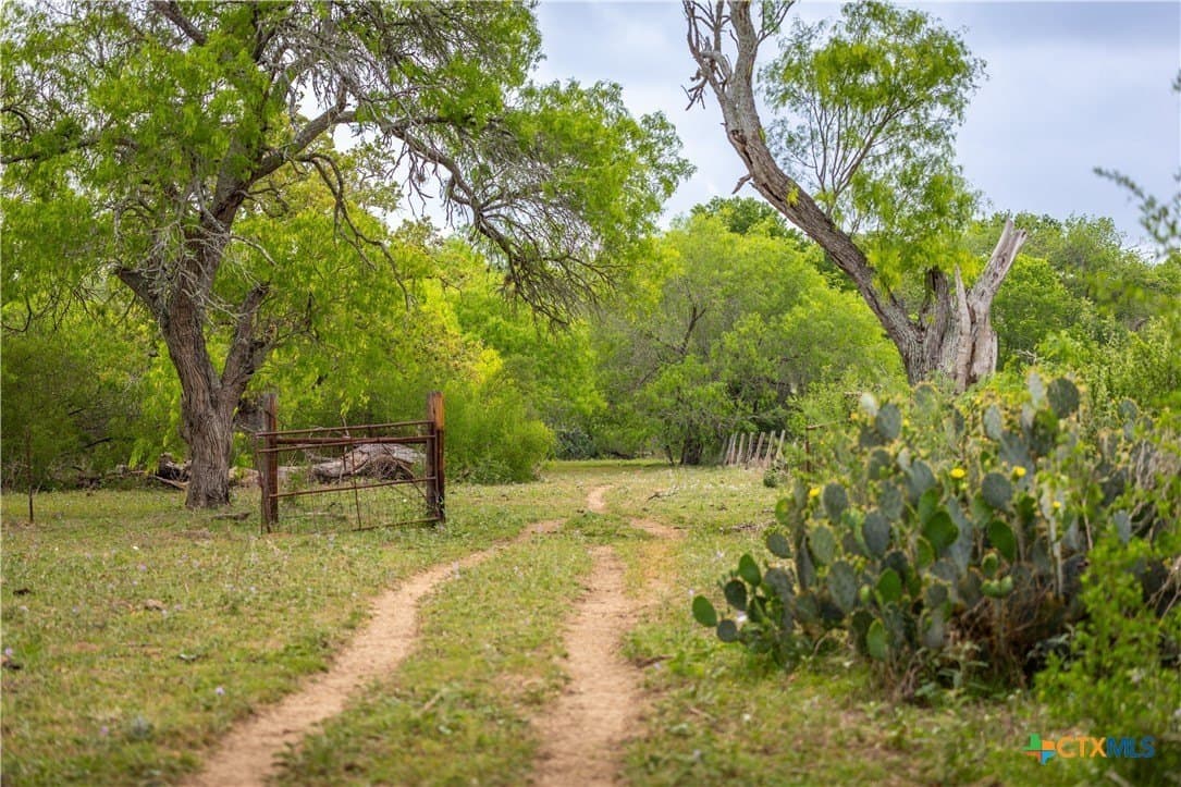 445.99 acres in Gonzales County - photo 23