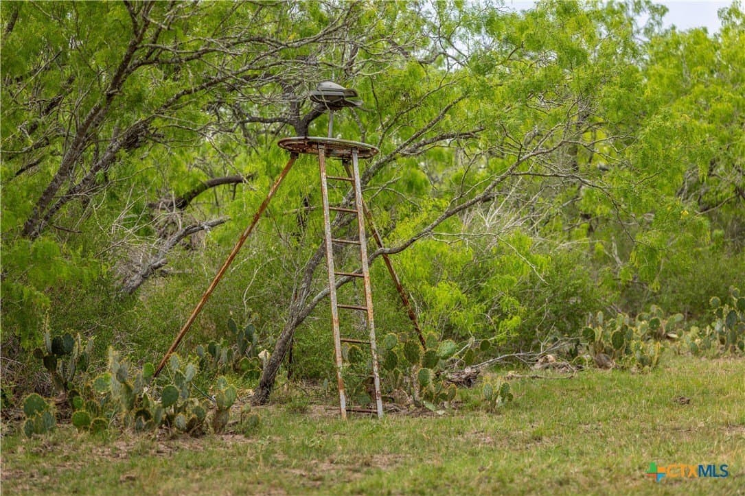 445.99 acres in Gonzales County - photo 18