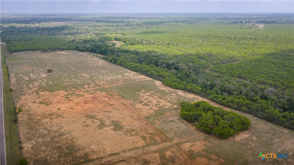 445.99 acres in Gonzales County - photo 8