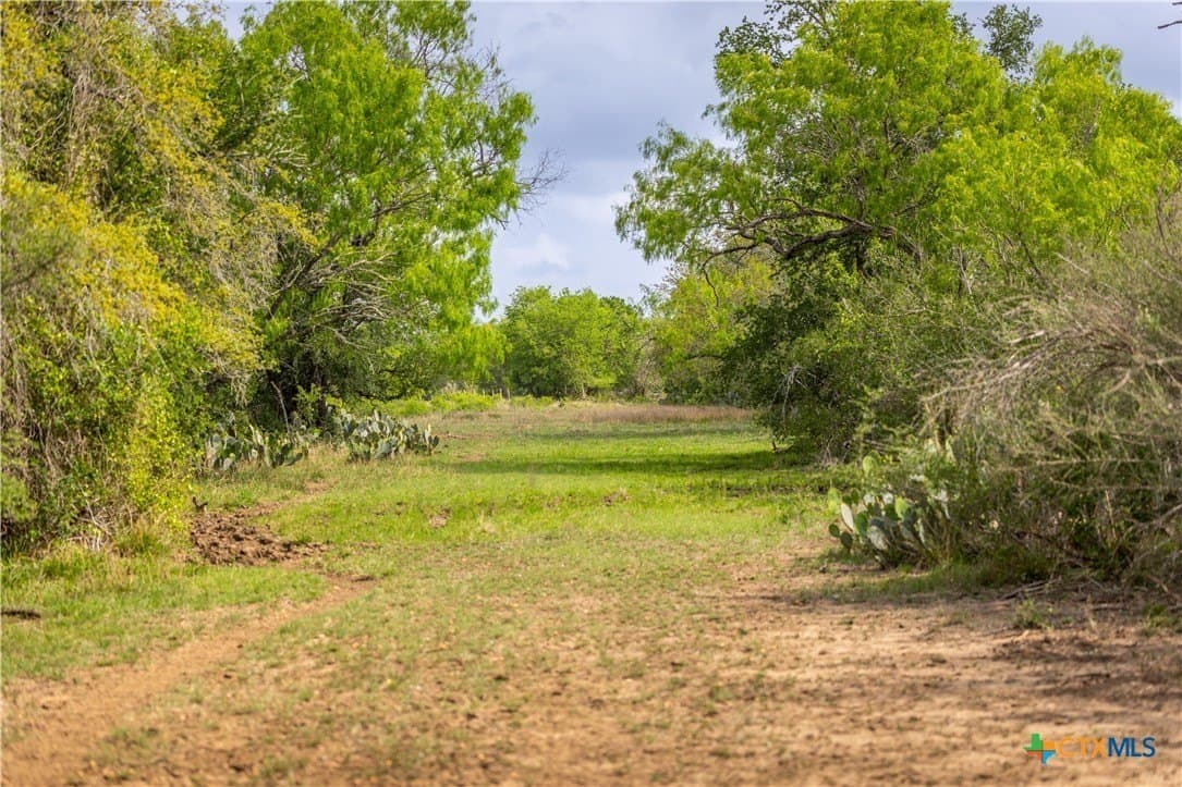445.99 acres in Gonzales County - photo 19