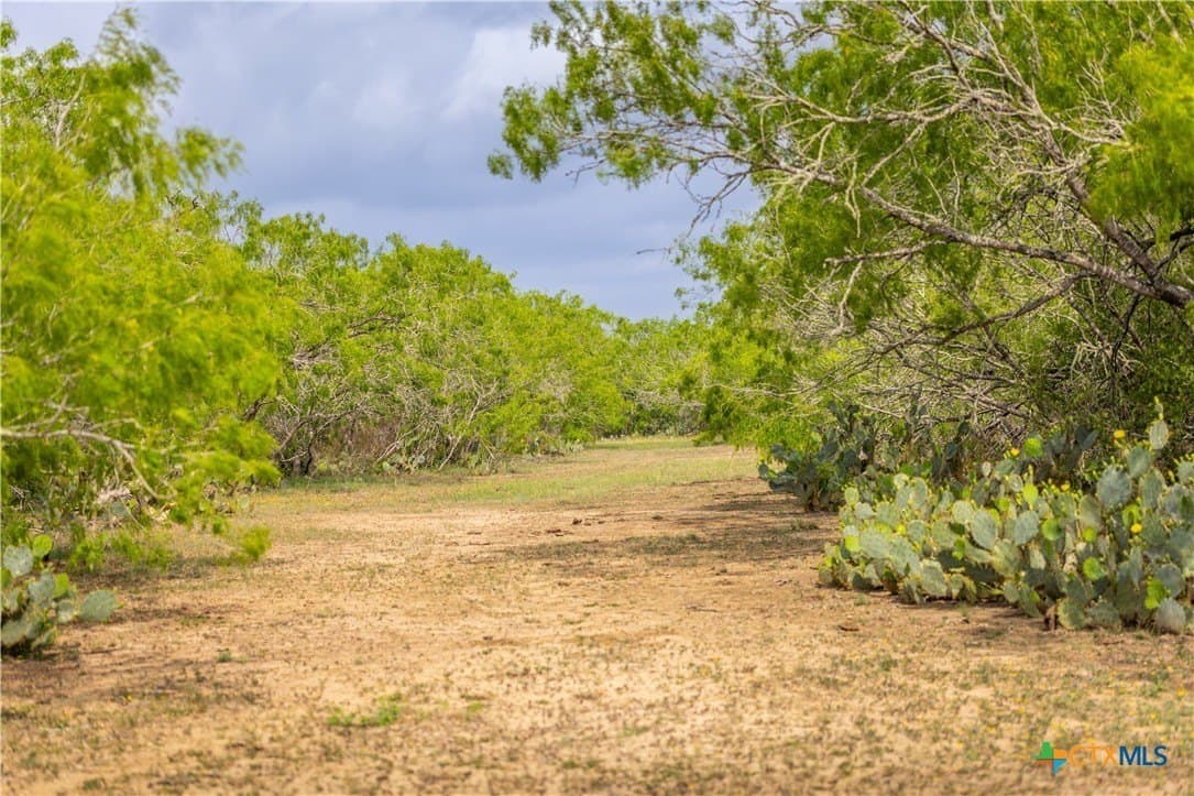 445.99 acres in Gonzales County - photo 16