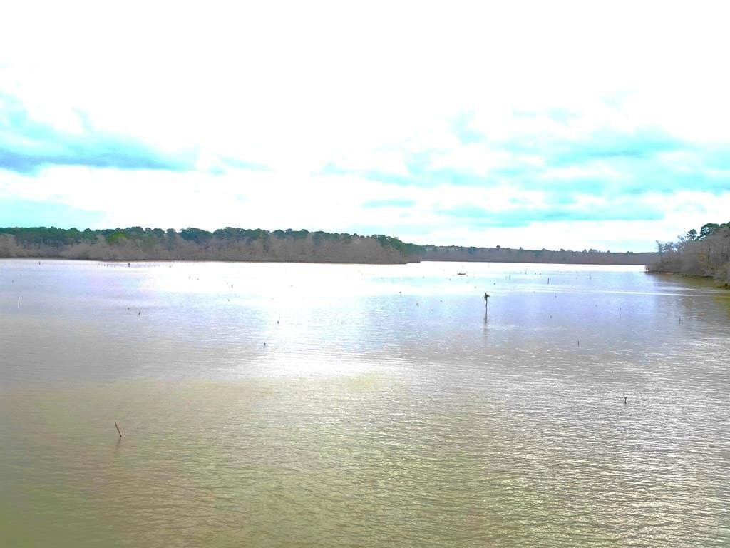 20.4 acres in Texas County