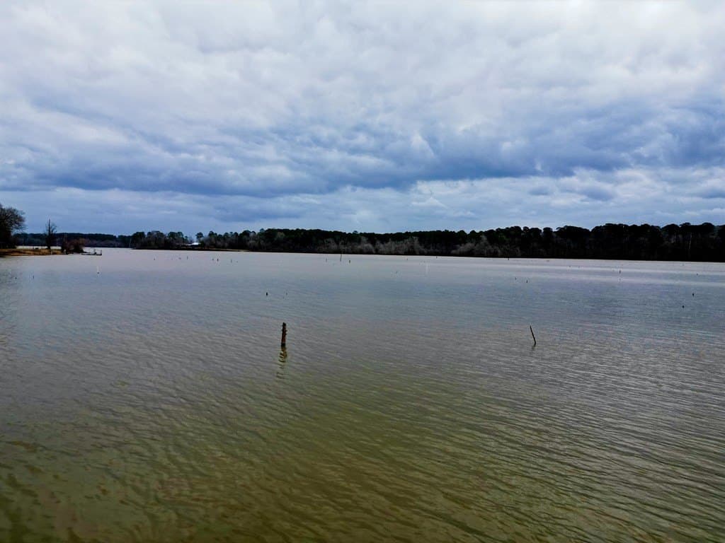 20.4 acres in Texas County featured view