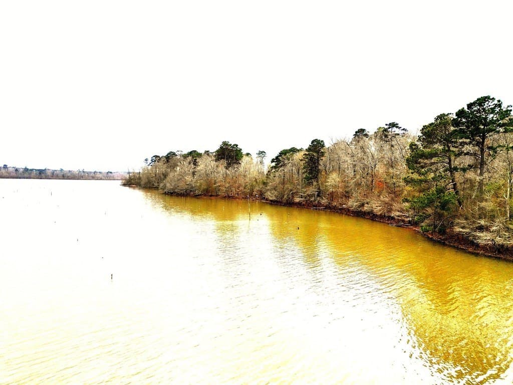 20.4 acres in Texas County gallery image 3