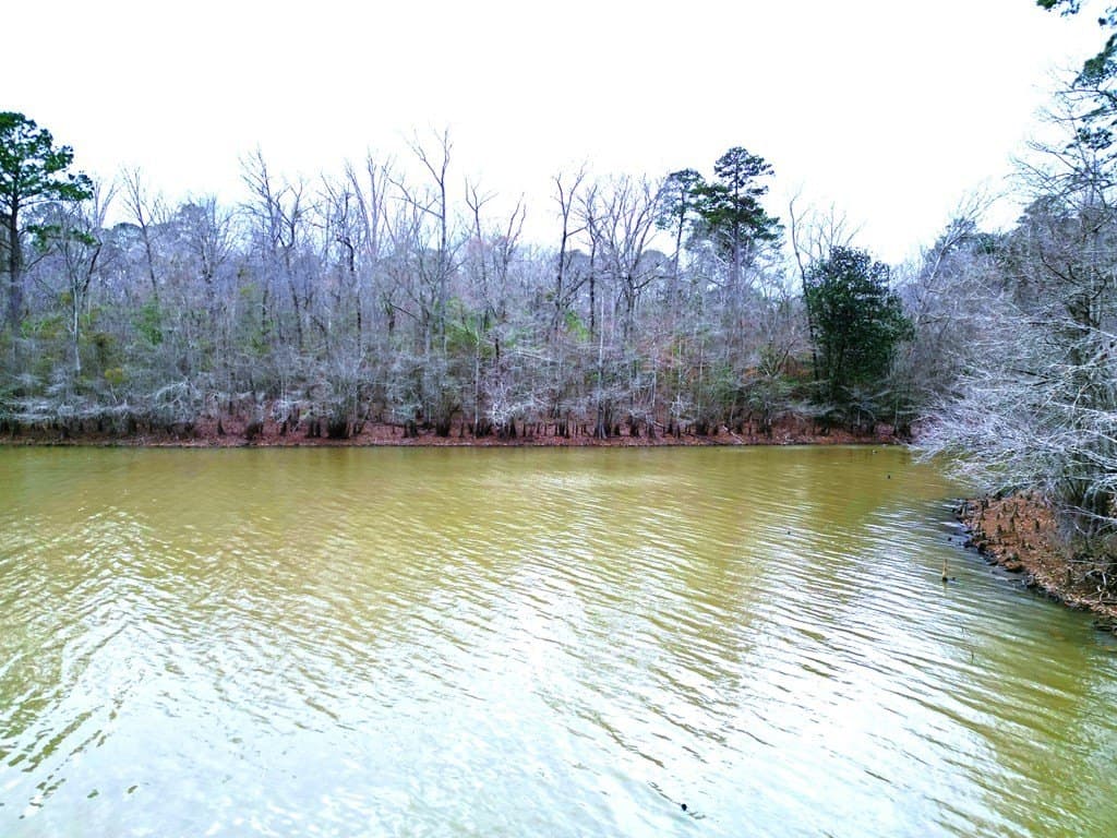 20.4 acres in Texas County gallery image 4