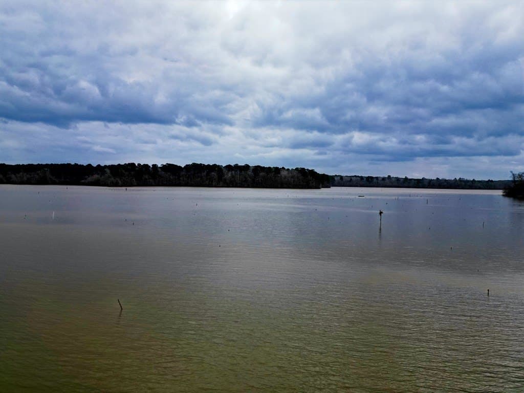 20.4 acres in Texas County gallery image 2