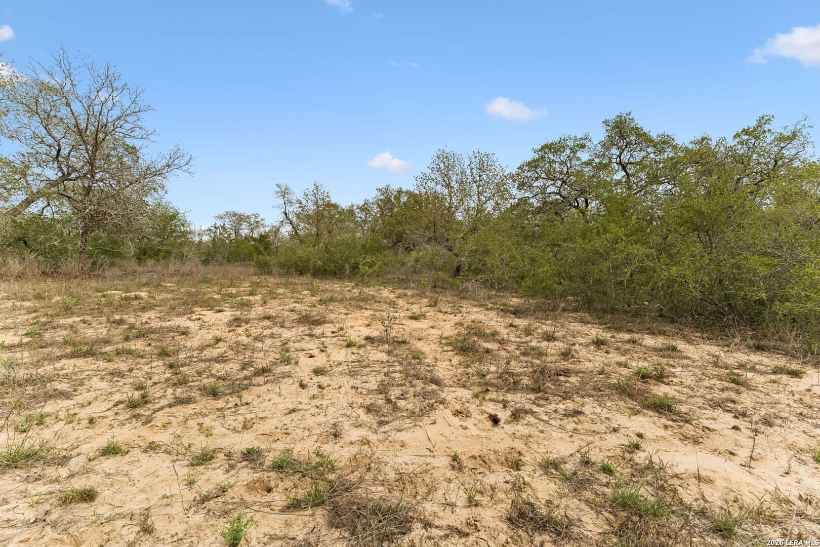 16.96 acres in Atascosa County gallery image 4