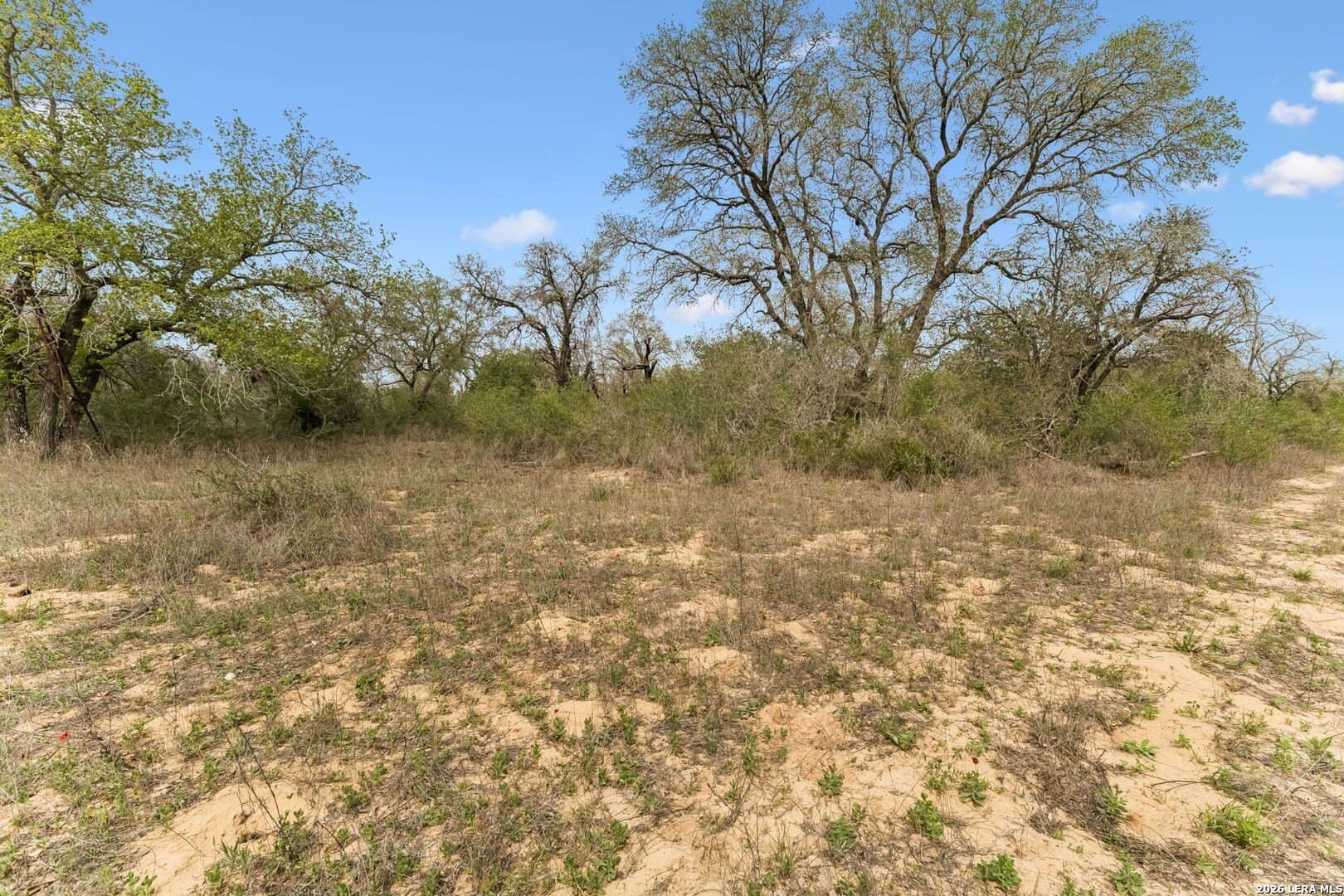 16.96 acres in Atascosa County - photo 7