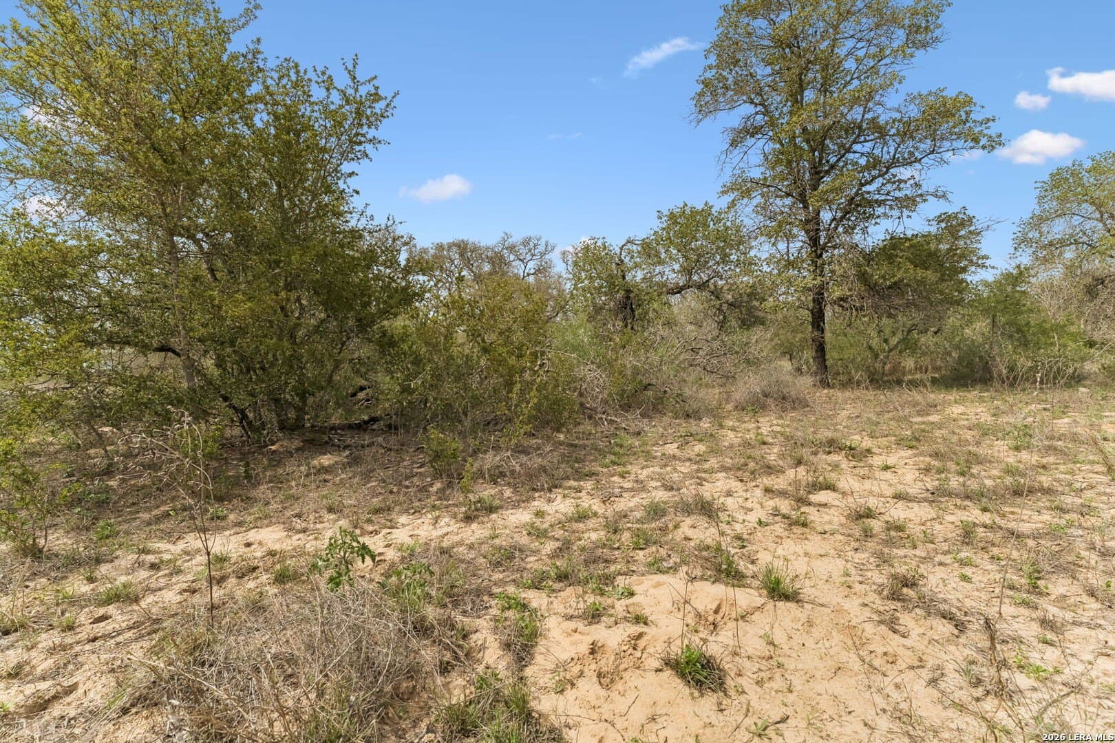 16.96 acres in Atascosa County featured view