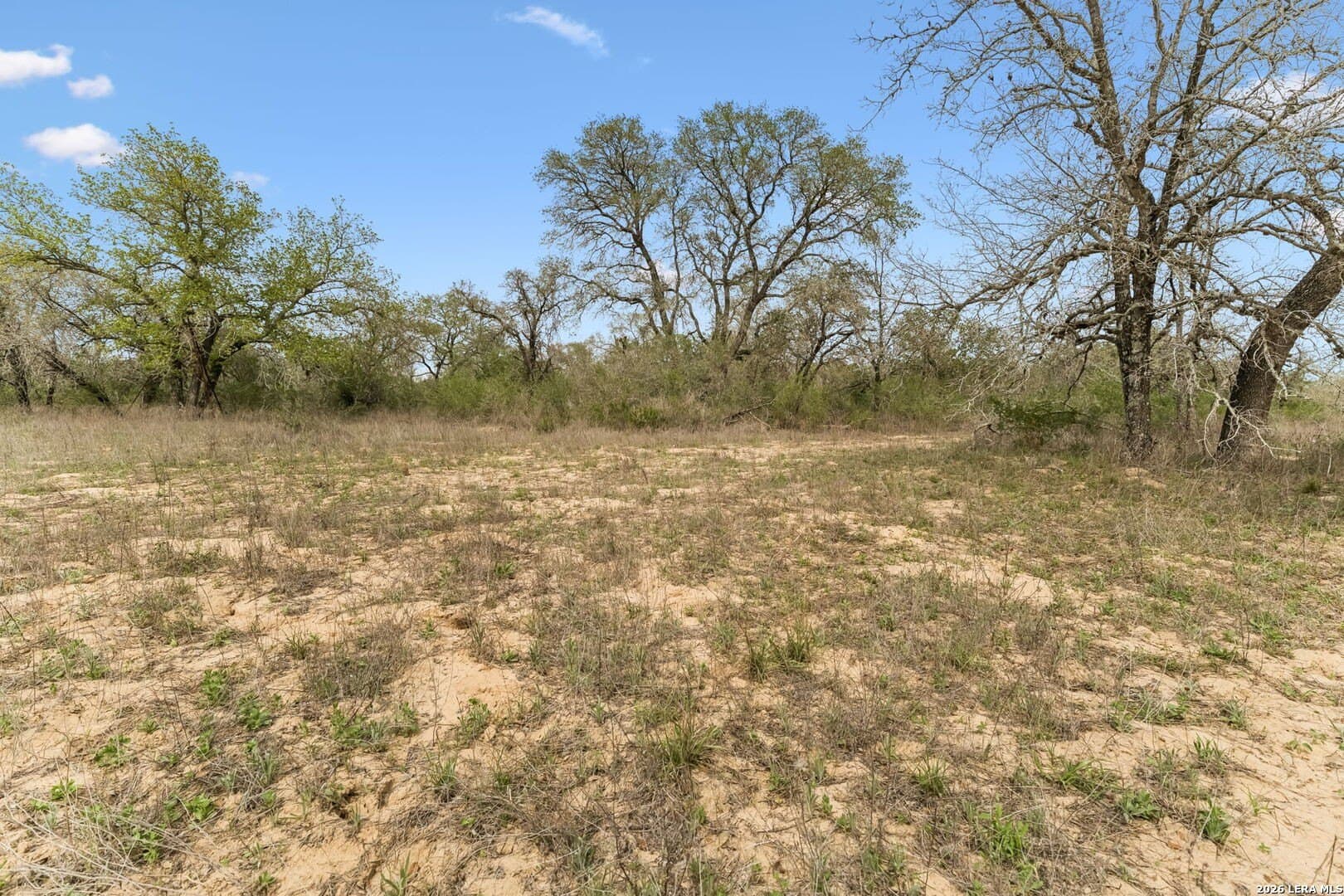 16.96 acres in Atascosa County - photo 6