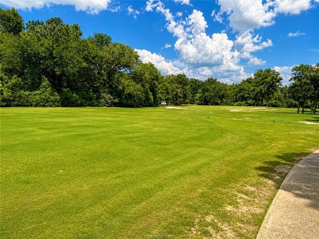 0.95 acres in Leon County gallery image 2