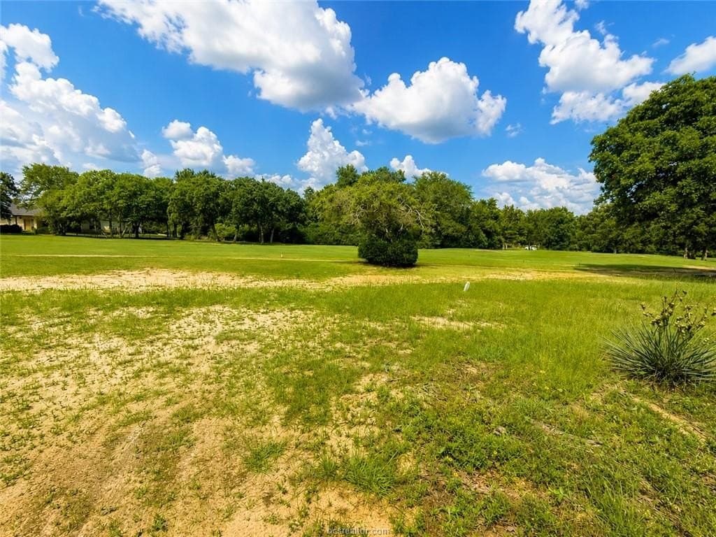 0.95 acres in Leon County gallery image 4