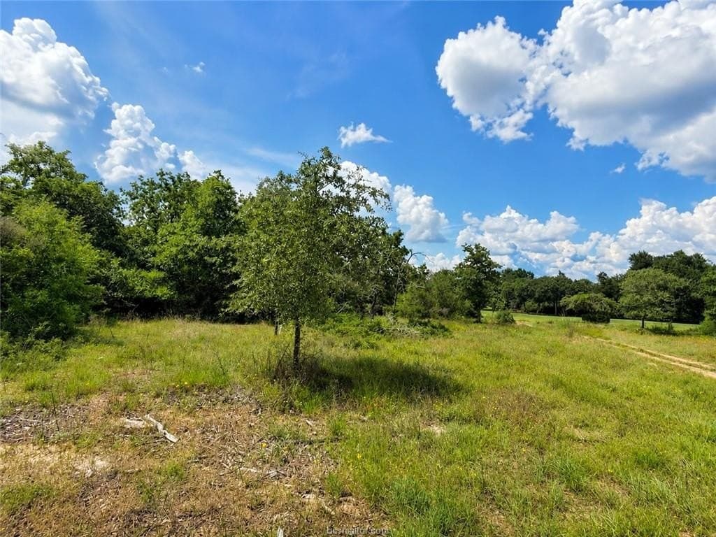 0.95 acres in Leon County gallery image 3