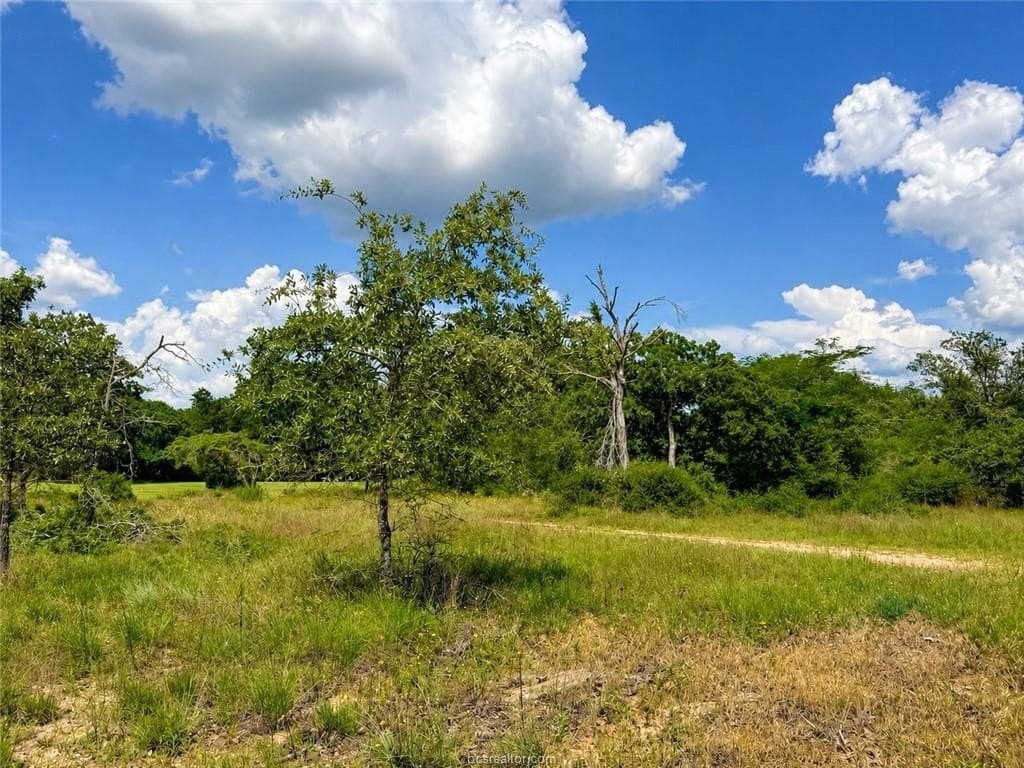 0.95 acres in Leon County featured view