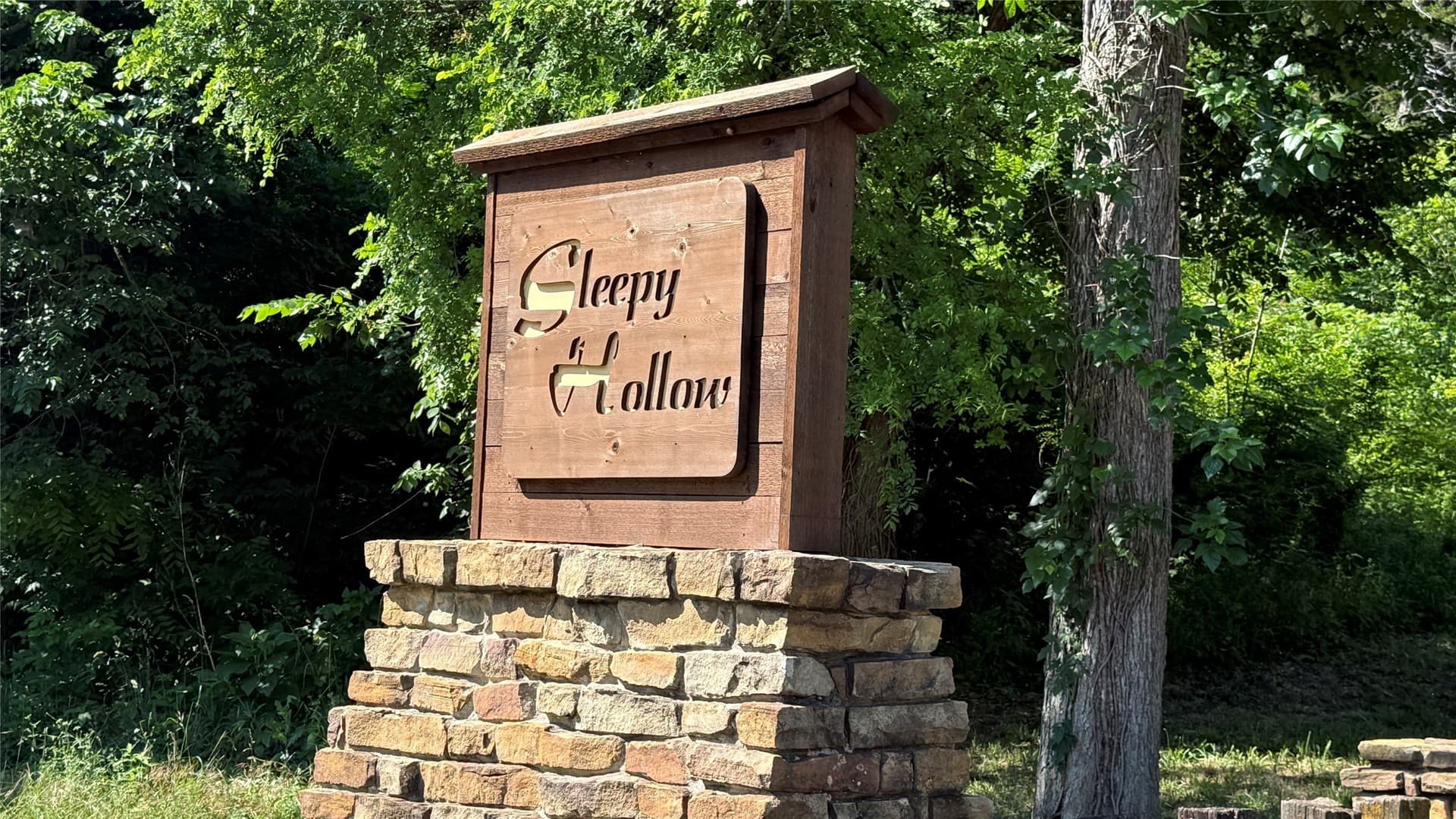 0.42 acres in Dallas County - photo 9